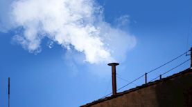 צילום: shutterstock